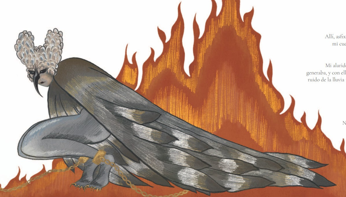 LIBRO ILUSTRADO: RELATO TROPICAL