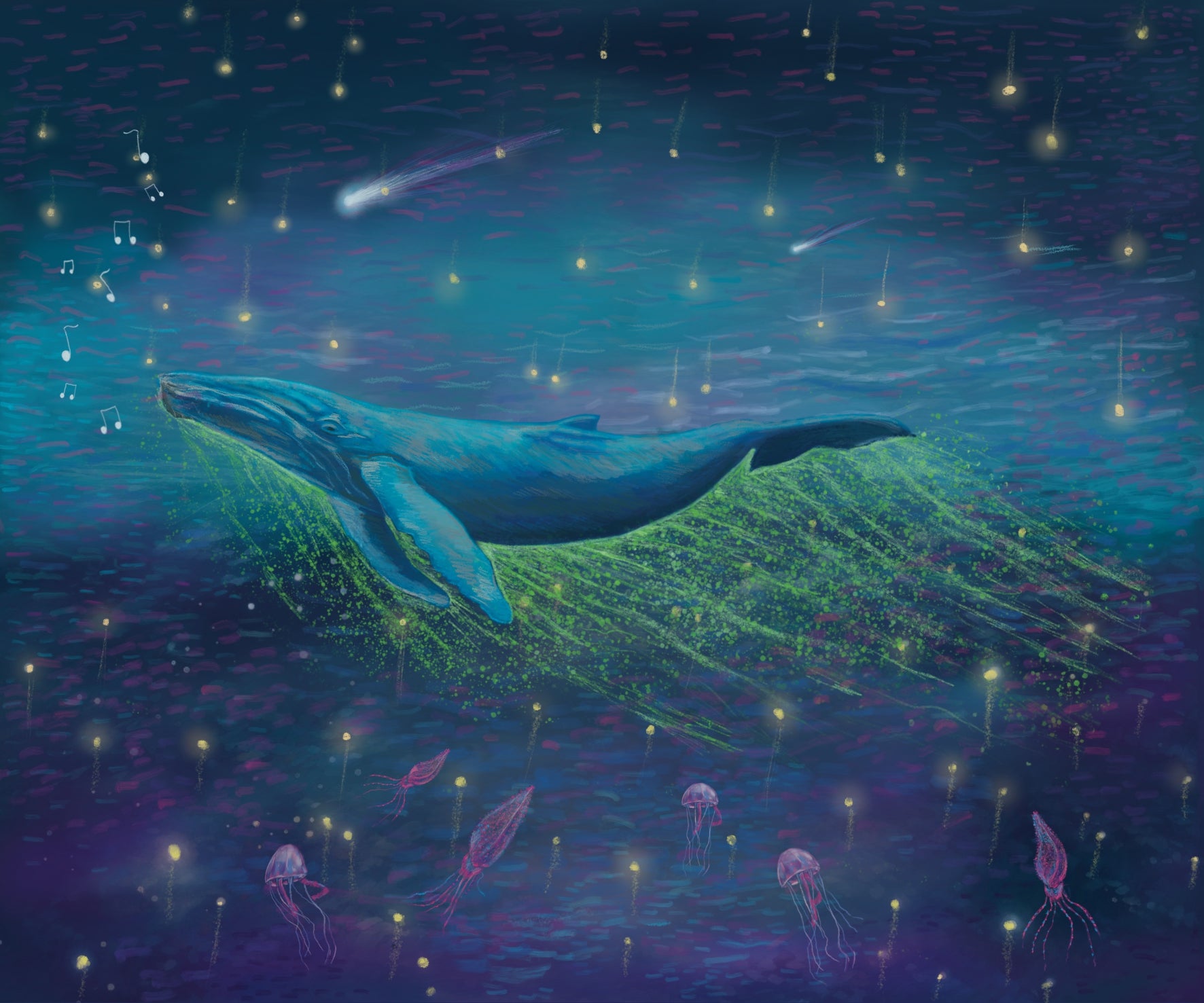 LIBRO ILUSTRADO: RELATO TROPICAL